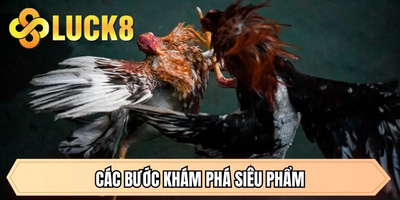 Đá Gà LUCK8 - Đỉnh Cao Giải Trí Và Cơ Hội Đổi Đời Tại LUCK8 - GOLDMEADOW99.INK