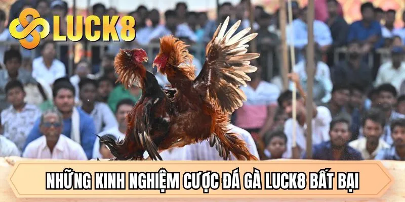 Đá Gà LUCK8 - Đỉnh Cao Giải Trí Và Cơ Hội Đổi Đời Tại LUCK8 - GOLDMEADOW99.INK