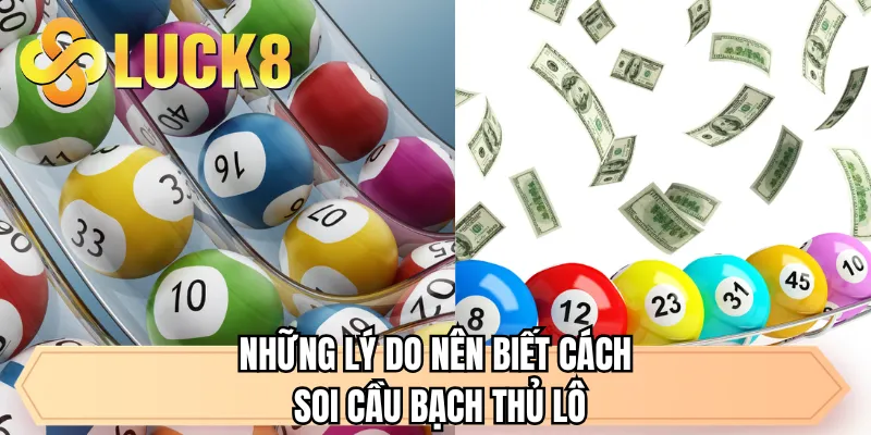 Soi Cầu Bạch Thủ Lô - Mẹo hay Từ Chuyên Gia Lâu Năm - GOLDMEADOW99.INK