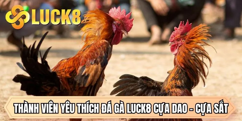 Đá Gà LUCK8 - Đỉnh Cao Giải Trí Và Cơ Hội Đổi Đời Tại LUCK8 - GOLDMEADOW99.INK