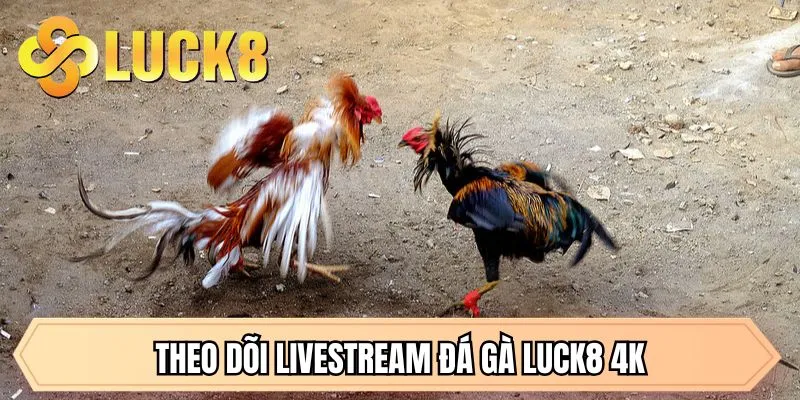 Đá Gà LUCK8 - Đỉnh Cao Giải Trí Và Cơ Hội Đổi Đời Tại LUCK8 - GOLDMEADOW99.INK